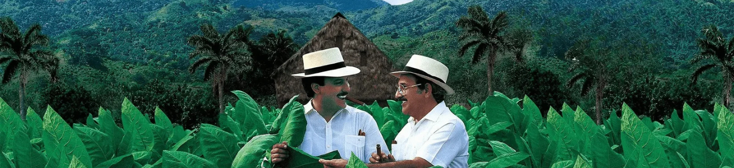 Arturo Fuente