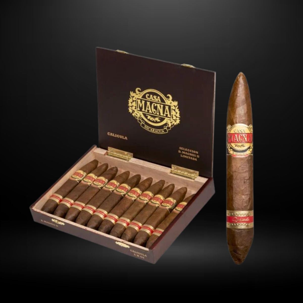 Casa Magna D. Magnus II Caligula Pressed Perfecto