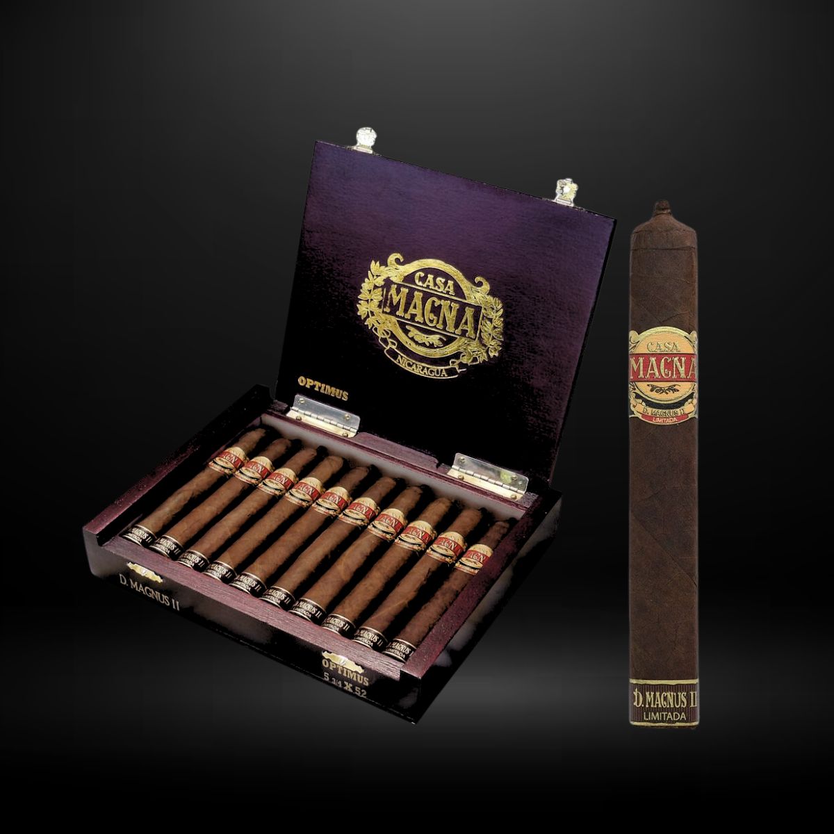 Casa Magna D. Magnus II Optimus