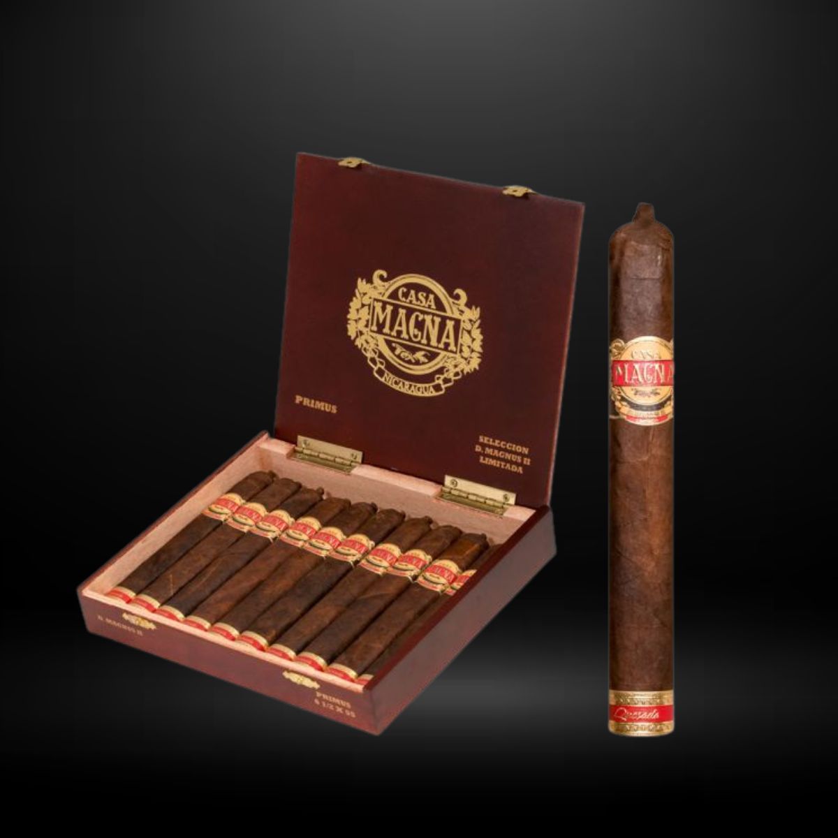 Casa Magna D. Magnus II Primus