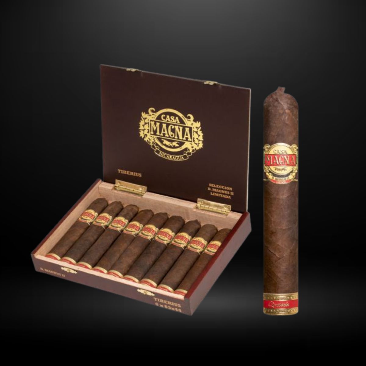 Casa Magna D. Magnus II Tiberius
